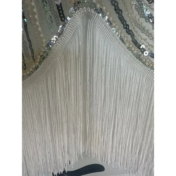 Vintage 20’s Silver and White Beaded and Sequins Flapper dress with Fringe - Picture 9 of 9